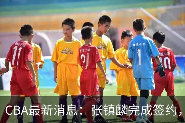 CBA最新消息：张镇麟完成签约，布朗续约谈崩，范子铭将转会山西